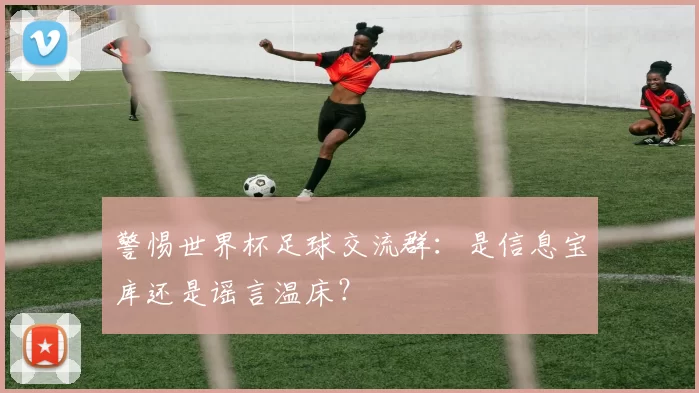 警惕世界杯足球交流群:是信息宝库还是谣言温床?