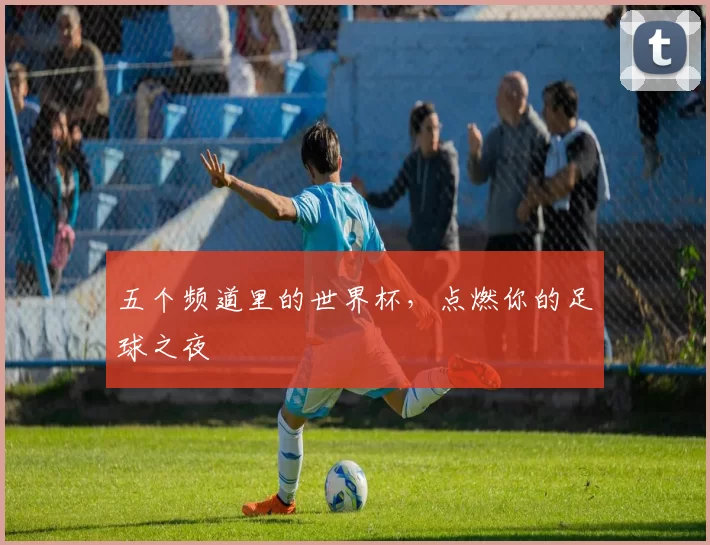 五个频道里的世界杯,点燃你的足球之夜