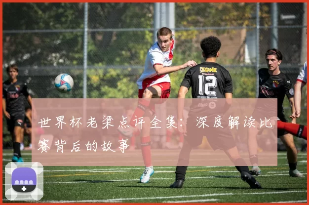 世界杯老梁点评全集：深度解读比赛背后的故事