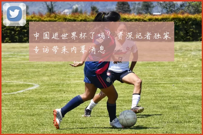 中国进世界杯了吗?资深记者独家专访带来内幕消息