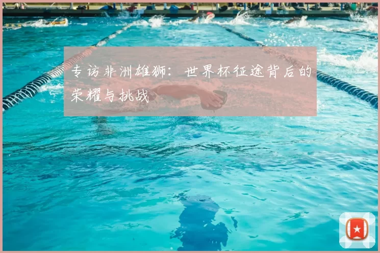 专访非洲雄狮:世界杯征途背后的荣耀与挑战