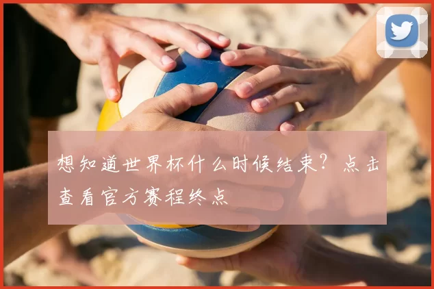 想知道世界杯什么时候结束?点击查看官方赛程终点