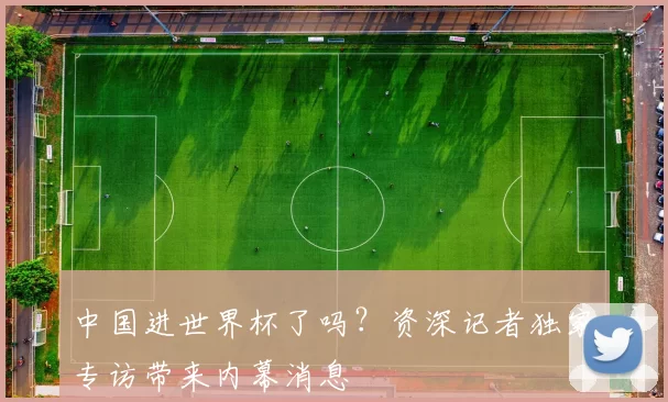 中国进世界杯了吗?资深记者独家专访带来内幕消息