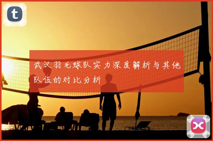 武汉羽毛球队实力深度解析与其他队伍的对比分析